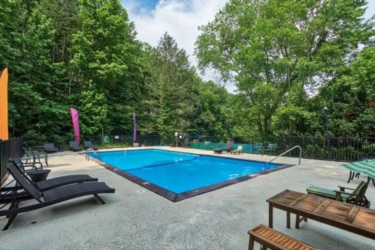 A vibrant resort-style swimming pool area bordered by deck chairs and colorful flags, set amongst tall green trees. The scene is lively, with spaces for swimming, sunbathing, and socializing under the open sky.
